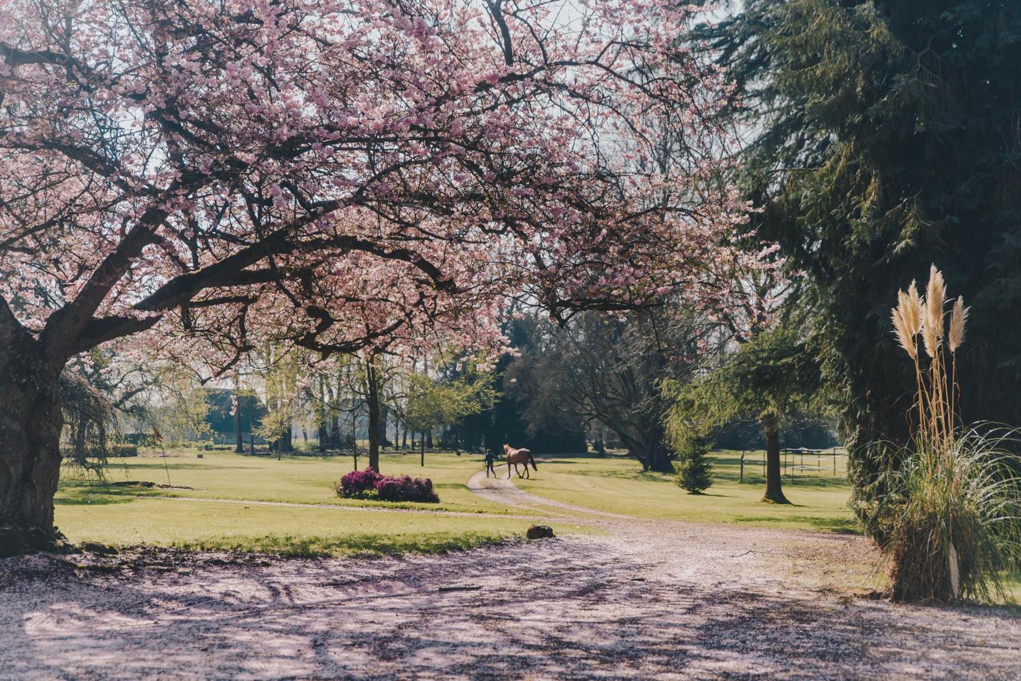 Chateau Du Landin Le Landin Bagian luar foto