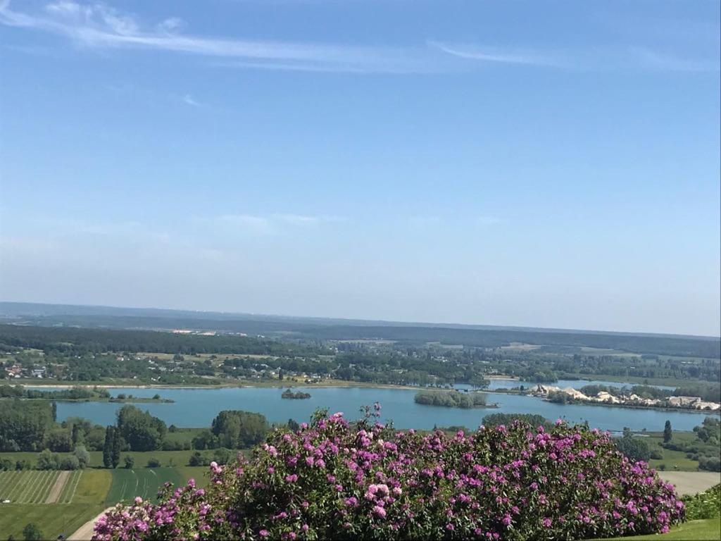 Chateau Du Landin Le Landin Bagian luar foto